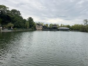 ЕК и МЗХ стартират усилена кампания за превенция на птичия грип