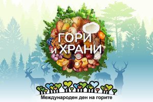 Шанхай съд назначава дядо за пазител на родените в САЩ деца
