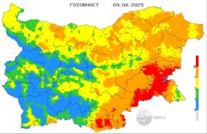 Силен интерес на българите в Германия към мярката „Избирам България“