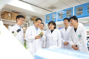 Китайското проучване разкрива как единичните клетки се развиват в цели растения