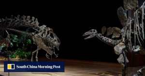 Обединеното кралство конфискува 15 милиона долара кости от динозаври от Су Бинхай
