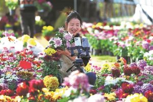 Десет впечатляващи снимки от Китай за 7–13 ноември