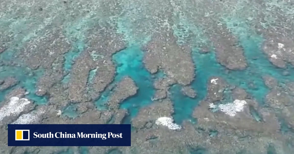 Китай дава висока оценка за оспорваната плитчина Скарбъроу